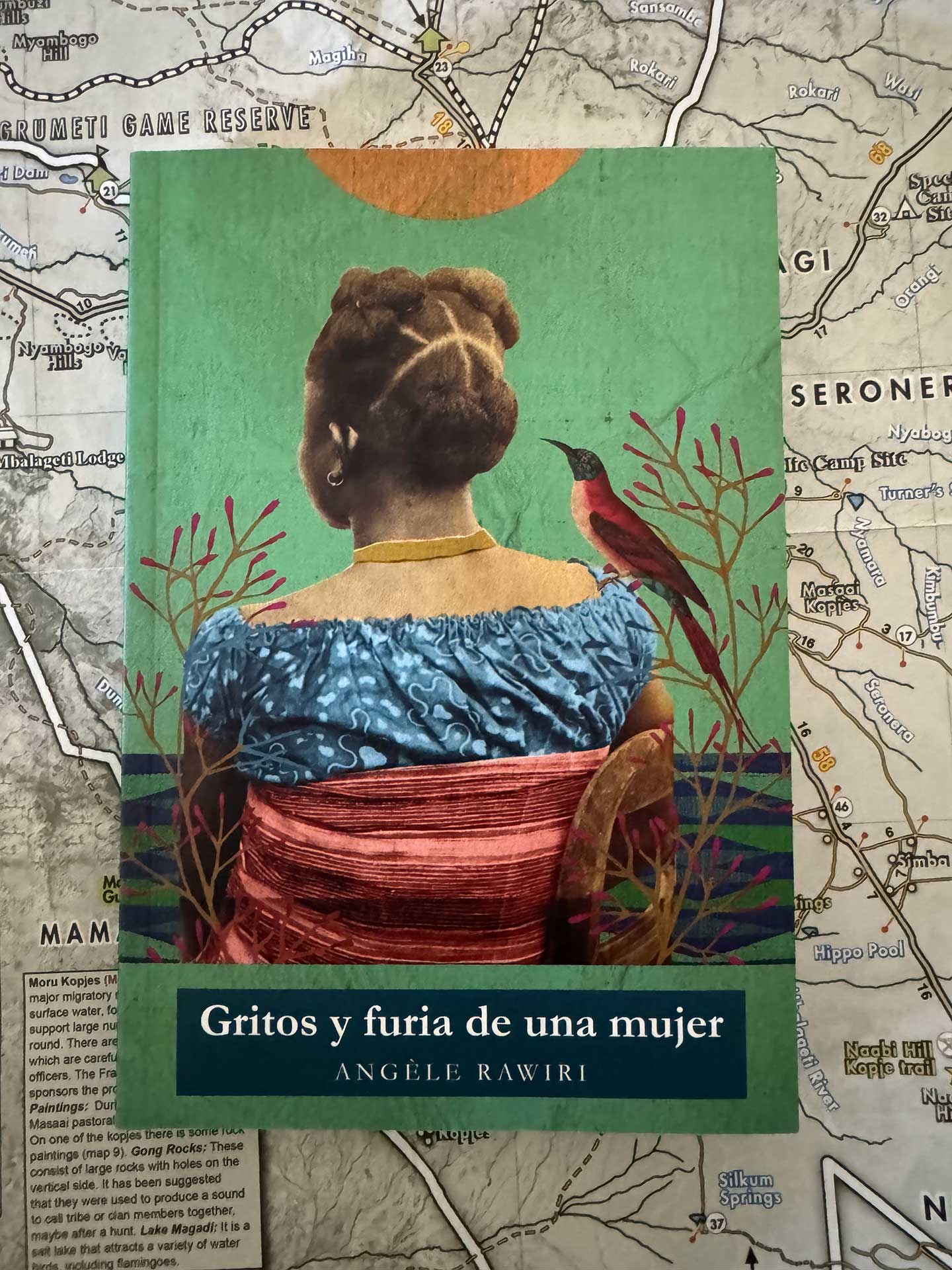 Gritos y furias de una mujer