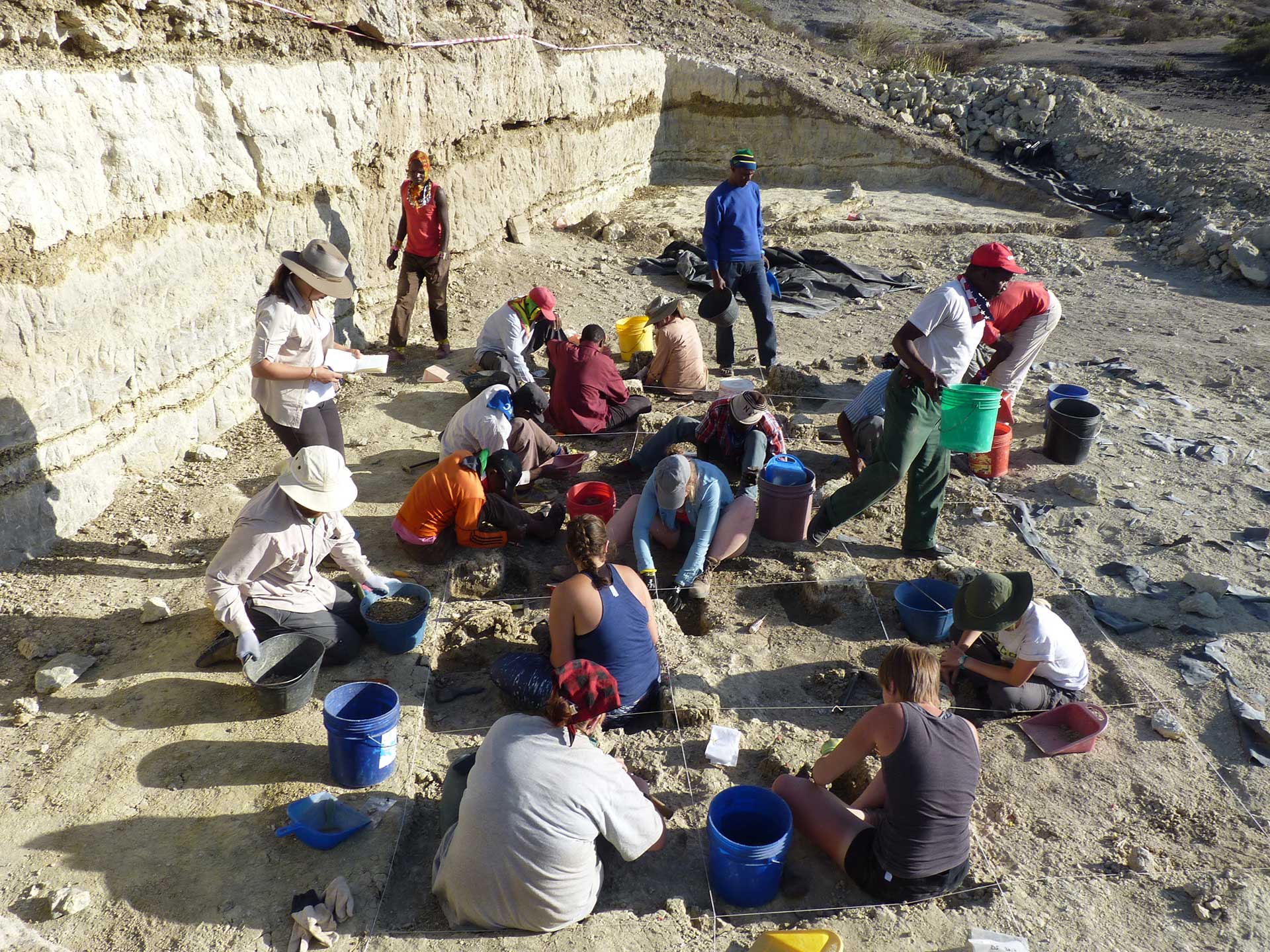 excavaciones Tanzania