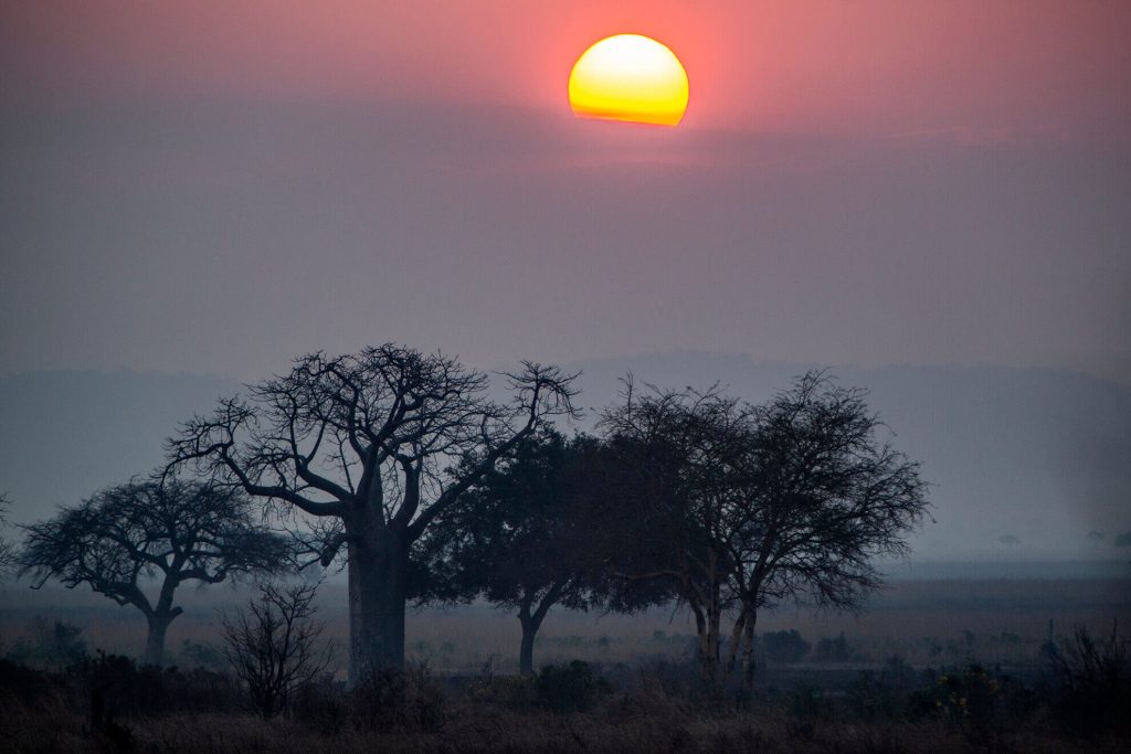 Mikumi Tanzania