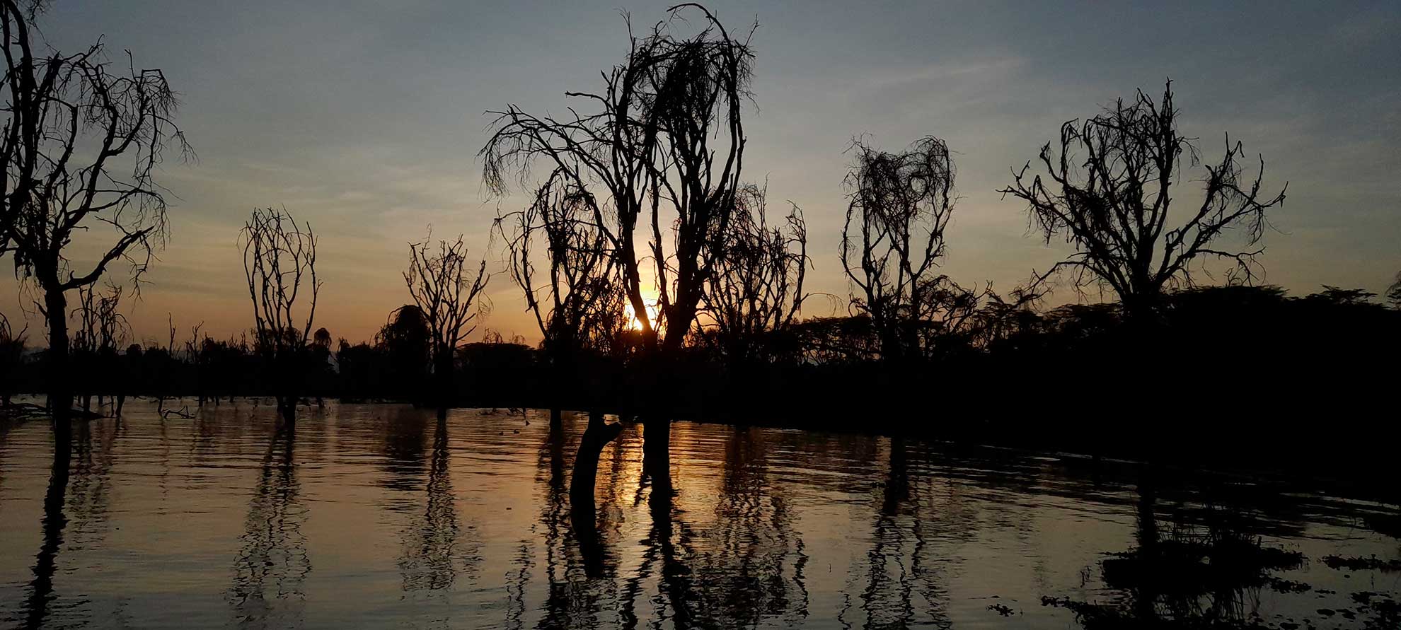 Naivasha lago