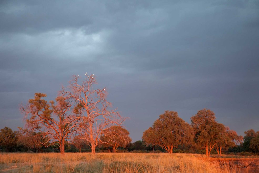 paisaje rojo Zambia