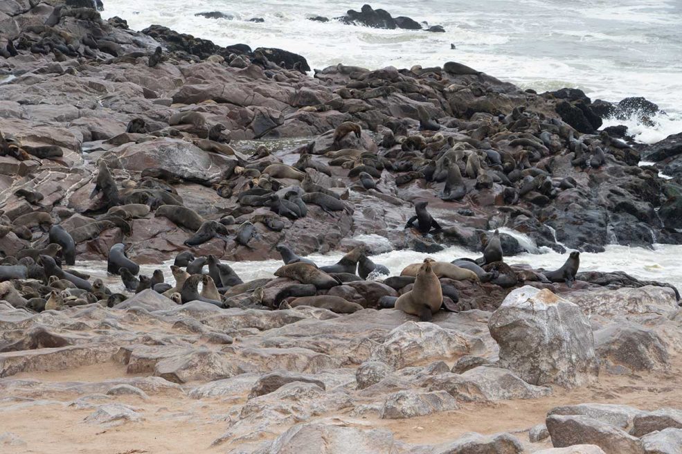 playas de Namibia