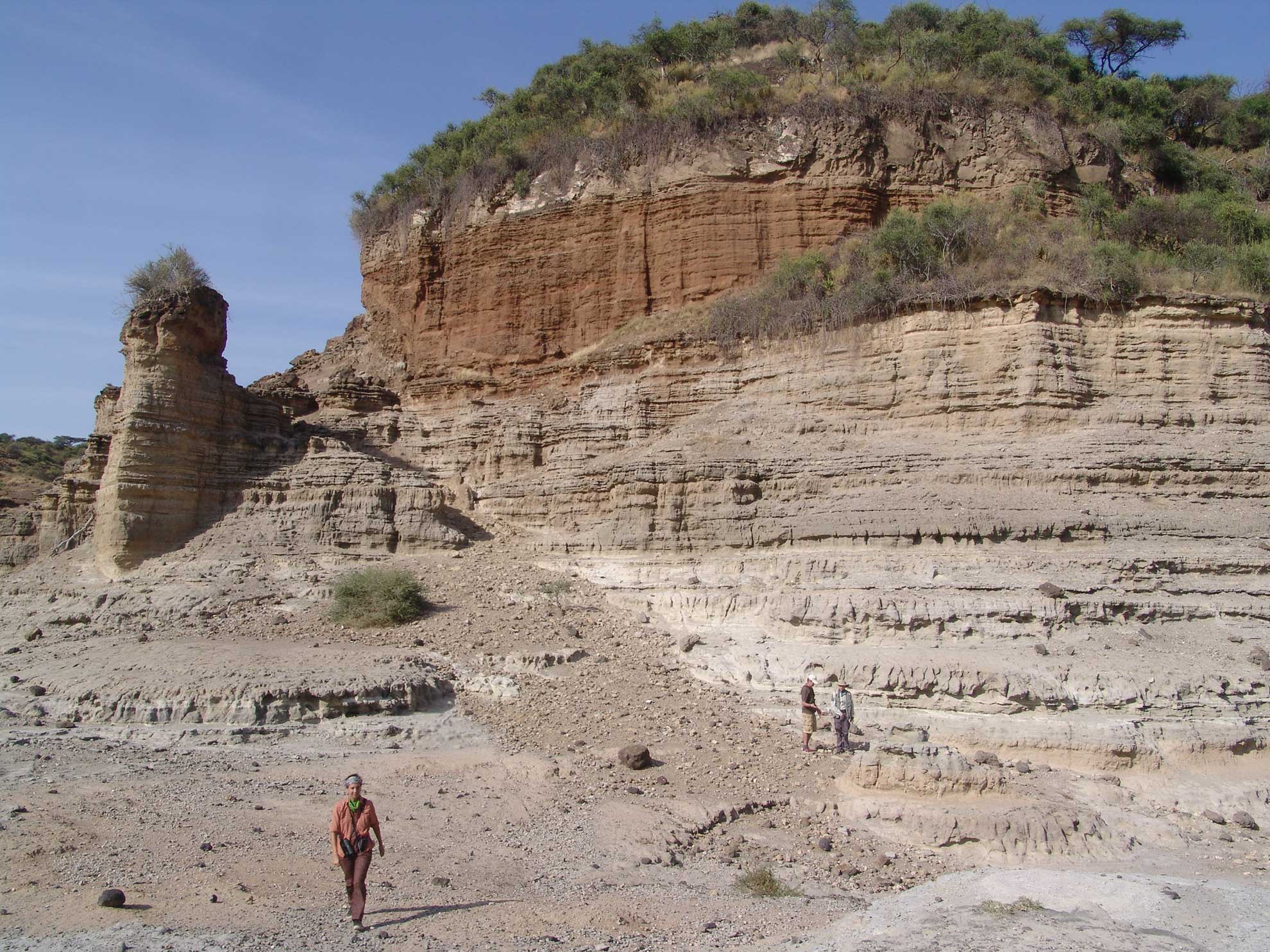 restos Olduvai