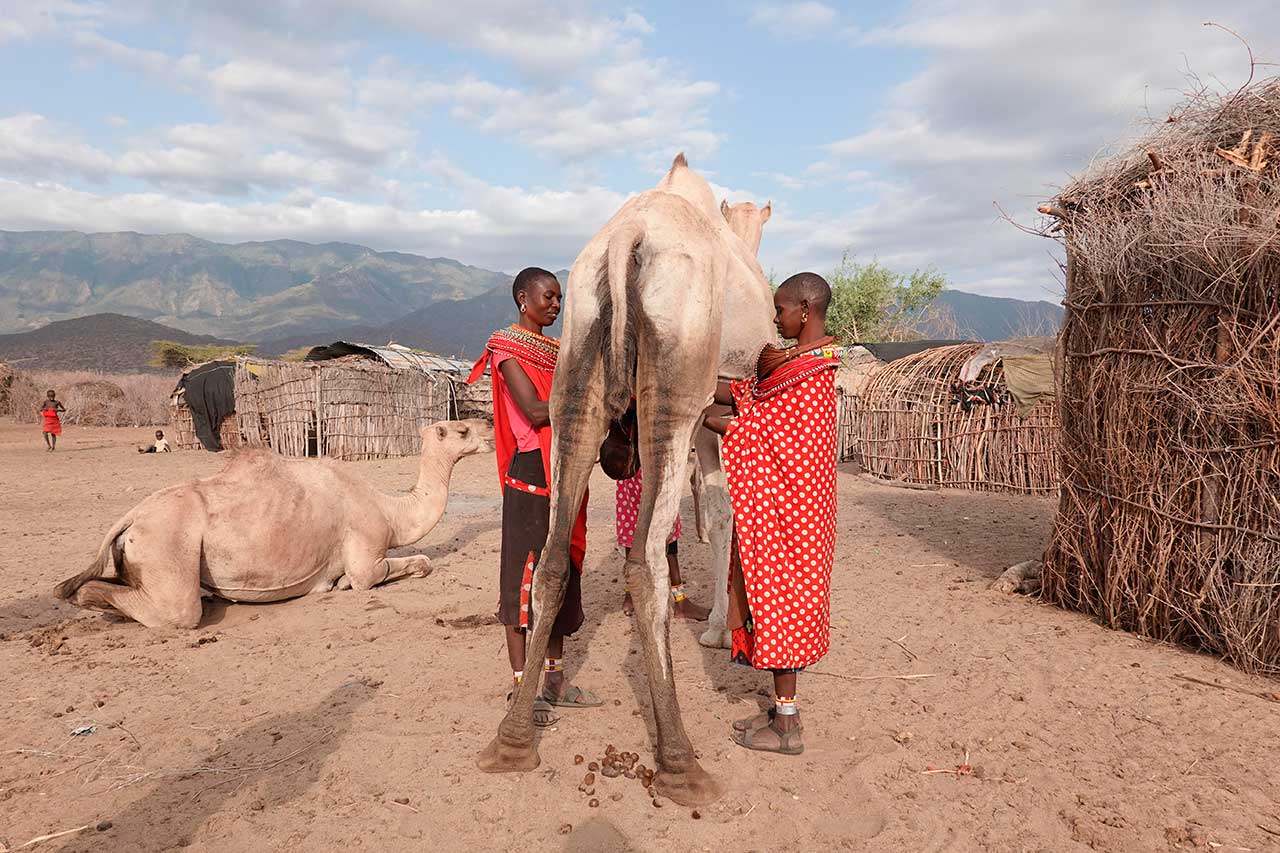 etnia samburu