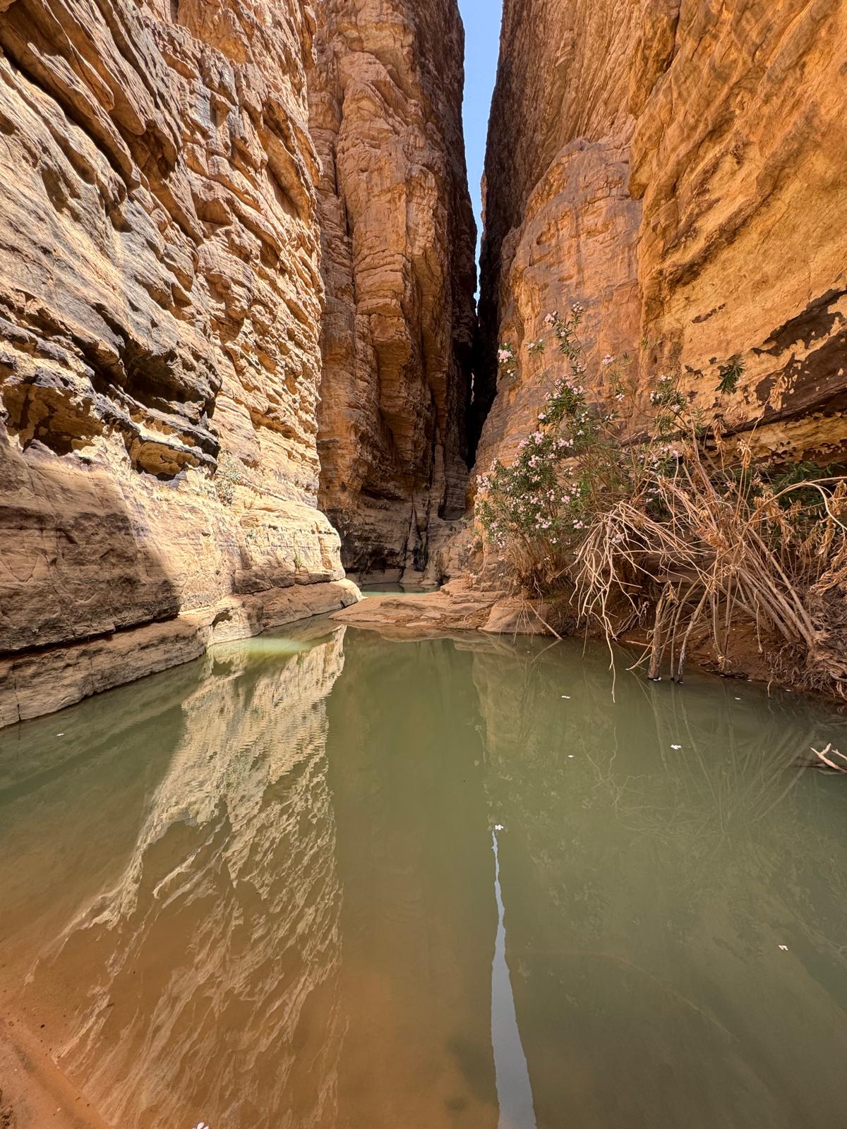 Parque Nacional de Tassili N´Ajjer. Argelia