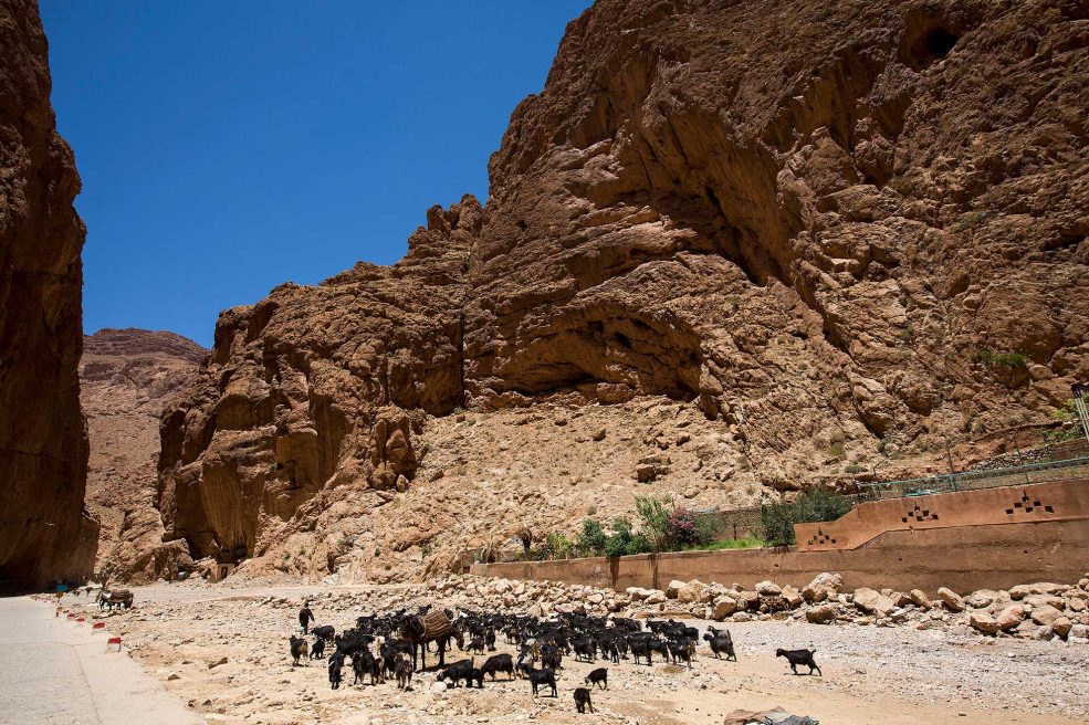 Todra gargantas Marruecos