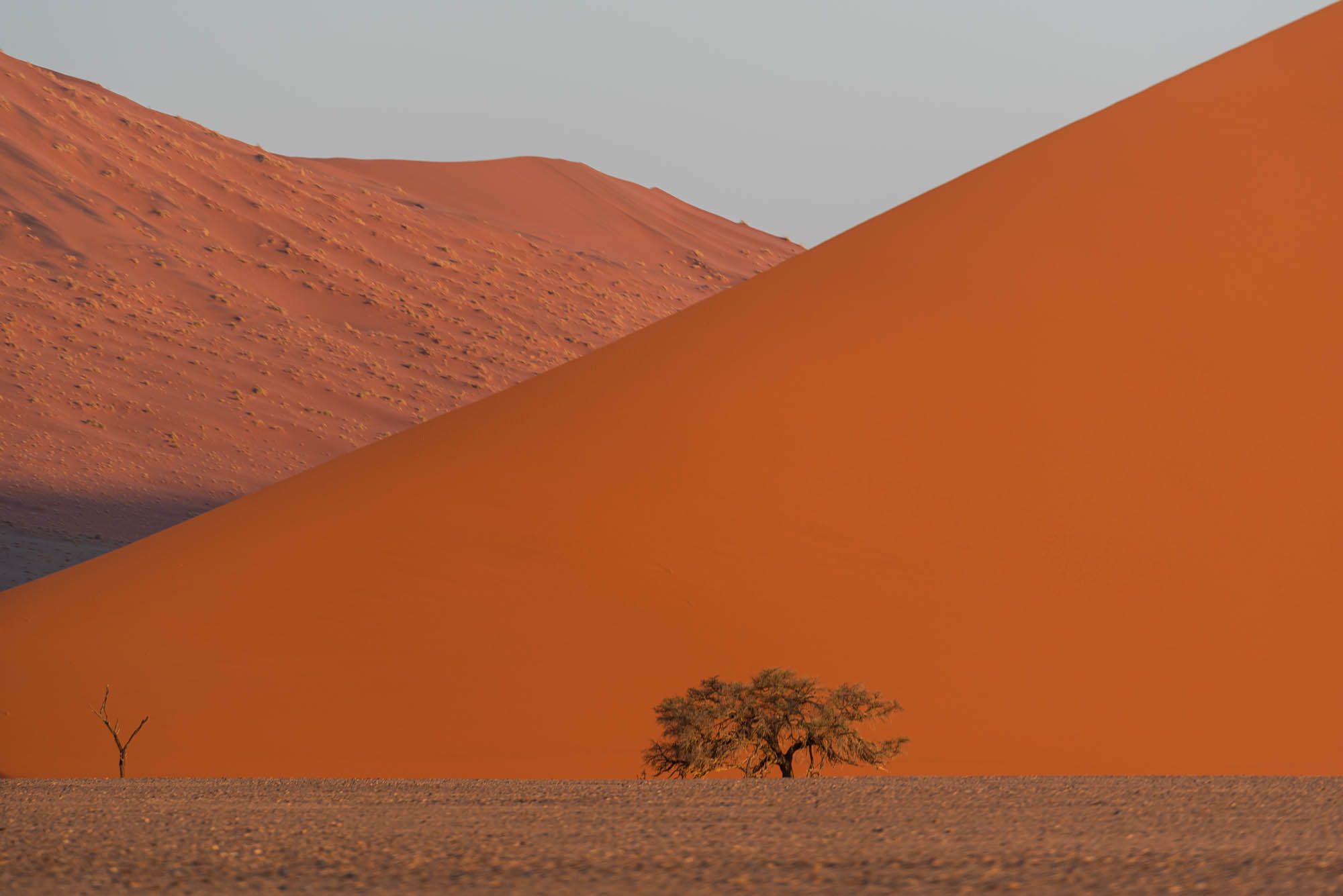 viaje fotográfico Namibia